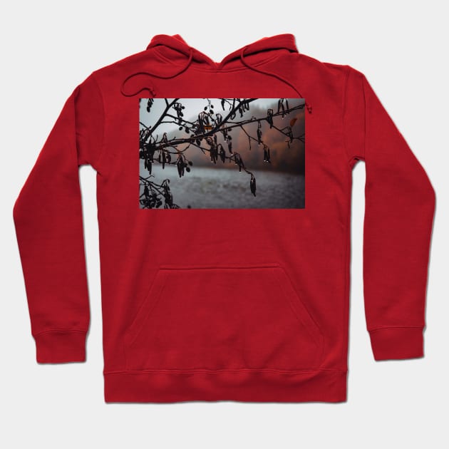 Rainy day in the forest - Clumber Park Hoodie by chiaravisuals